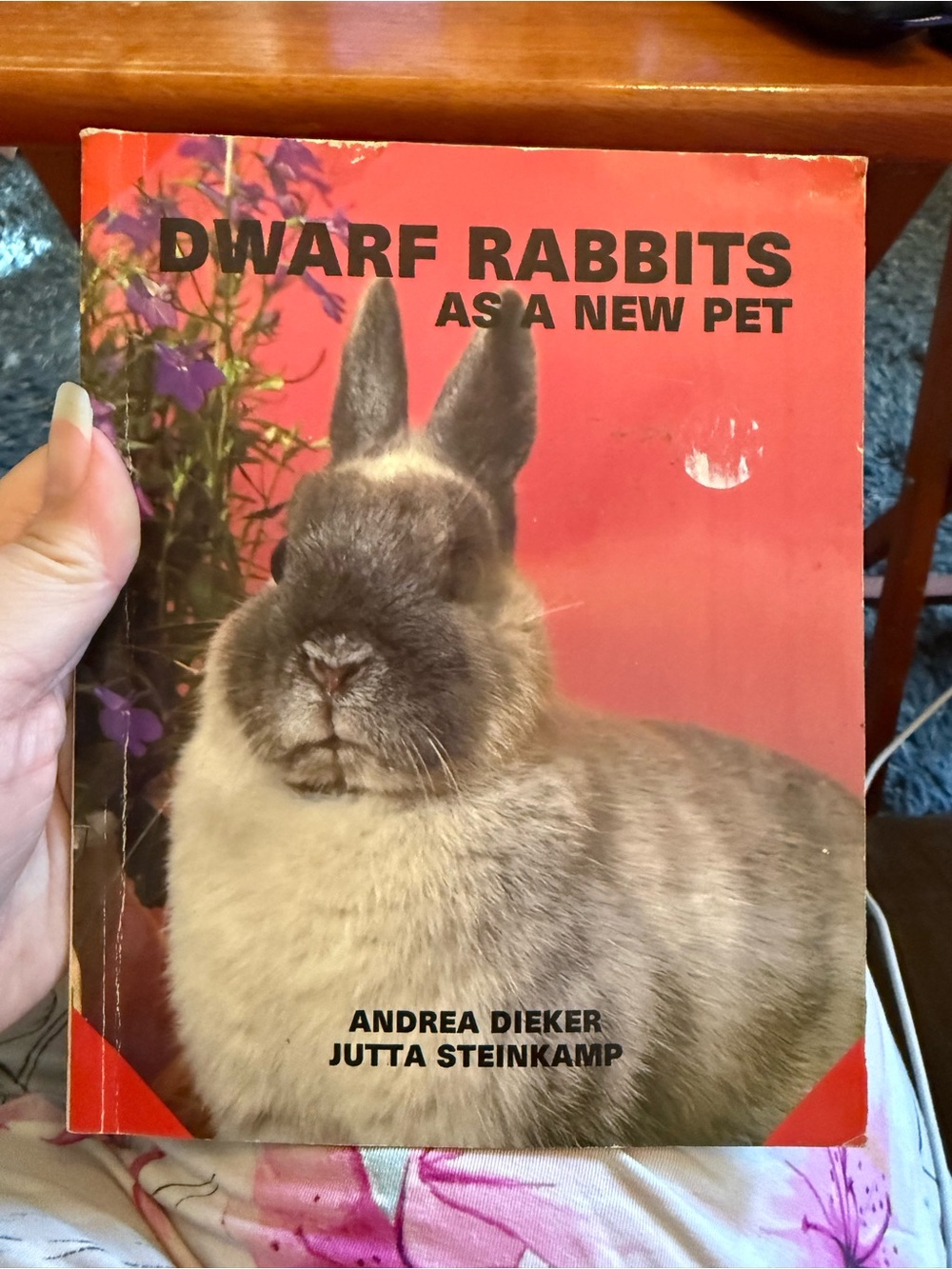 Dwarf Rabbits as a New Pet Paperback Book